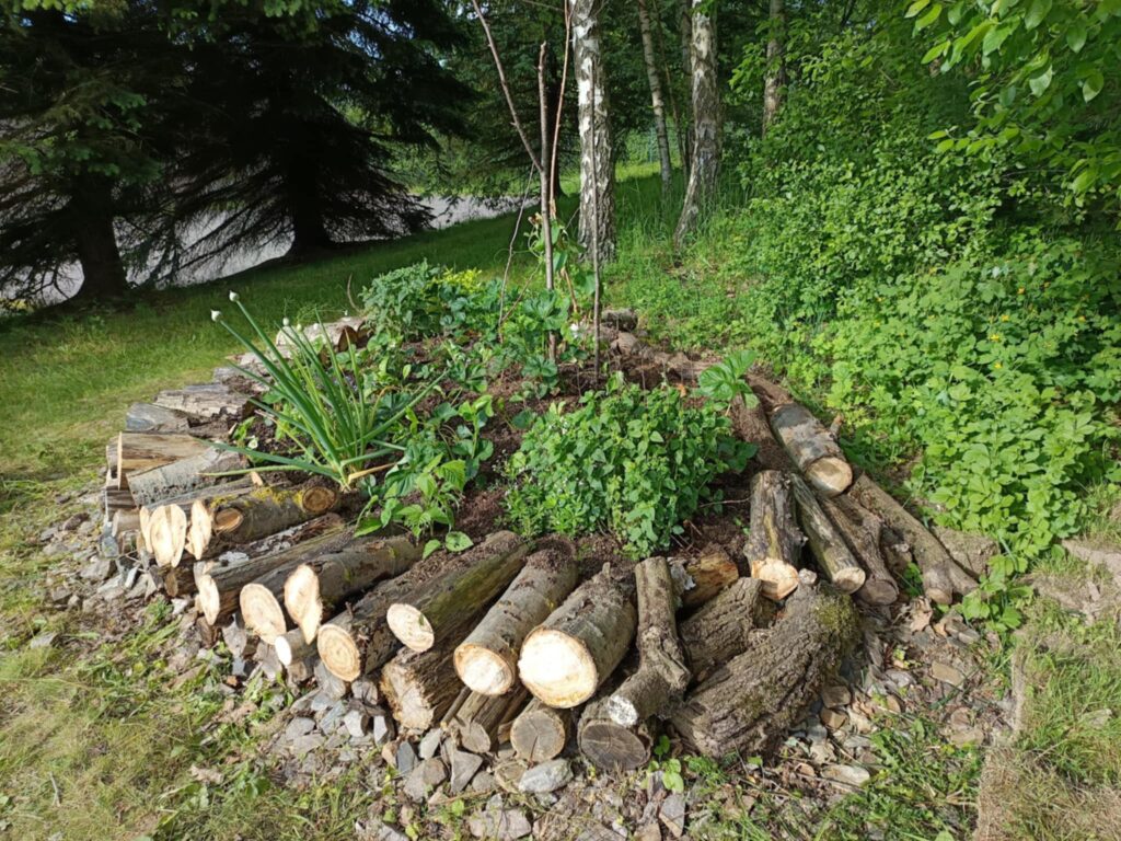 Renoviertes Permakulturbeet